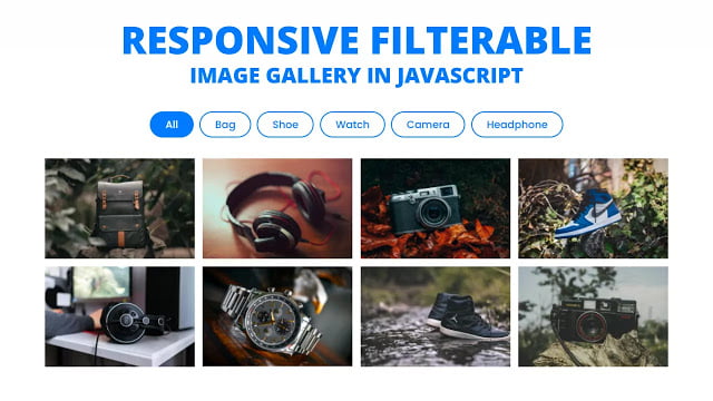 Responsive Filterable Image Gallery using HTML CSS & JavaScript