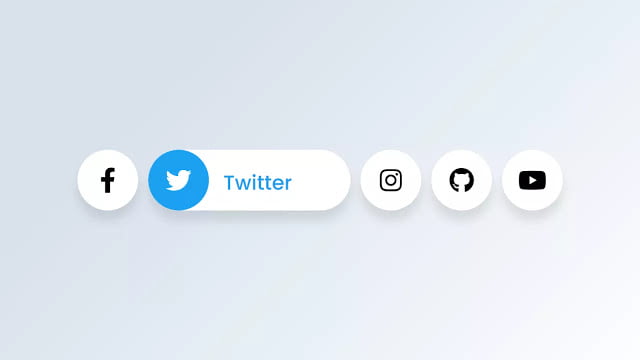 Awesome Social Media Buttons with Hover Animation HTML & CSS
