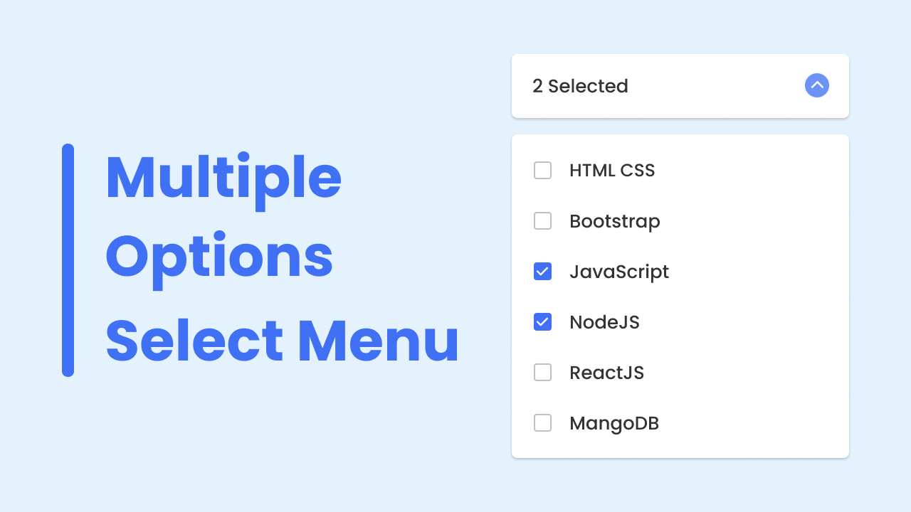 Multiple Options Select Menu In HTML CSS JavaScript